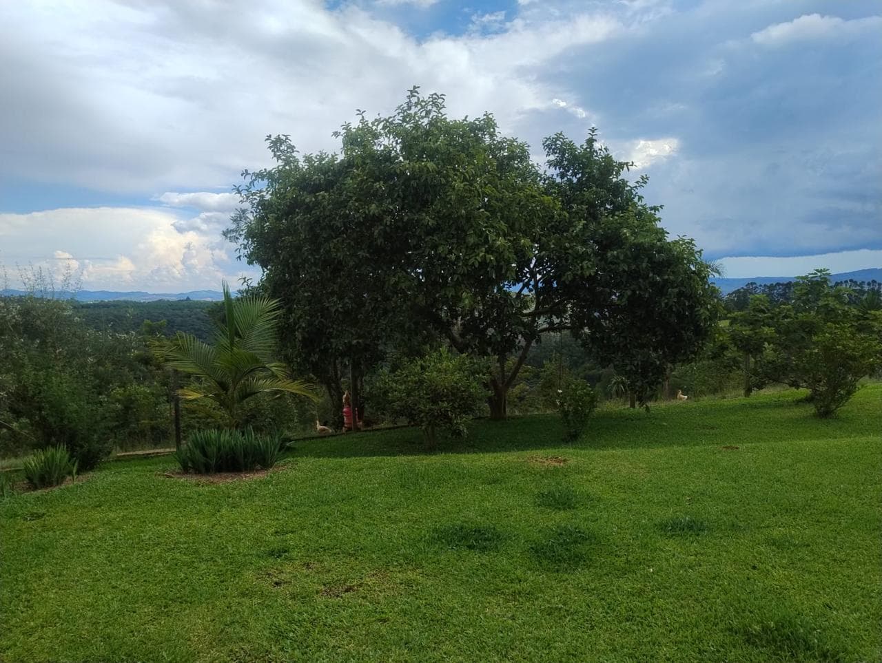 Chácara Campo Largo 4