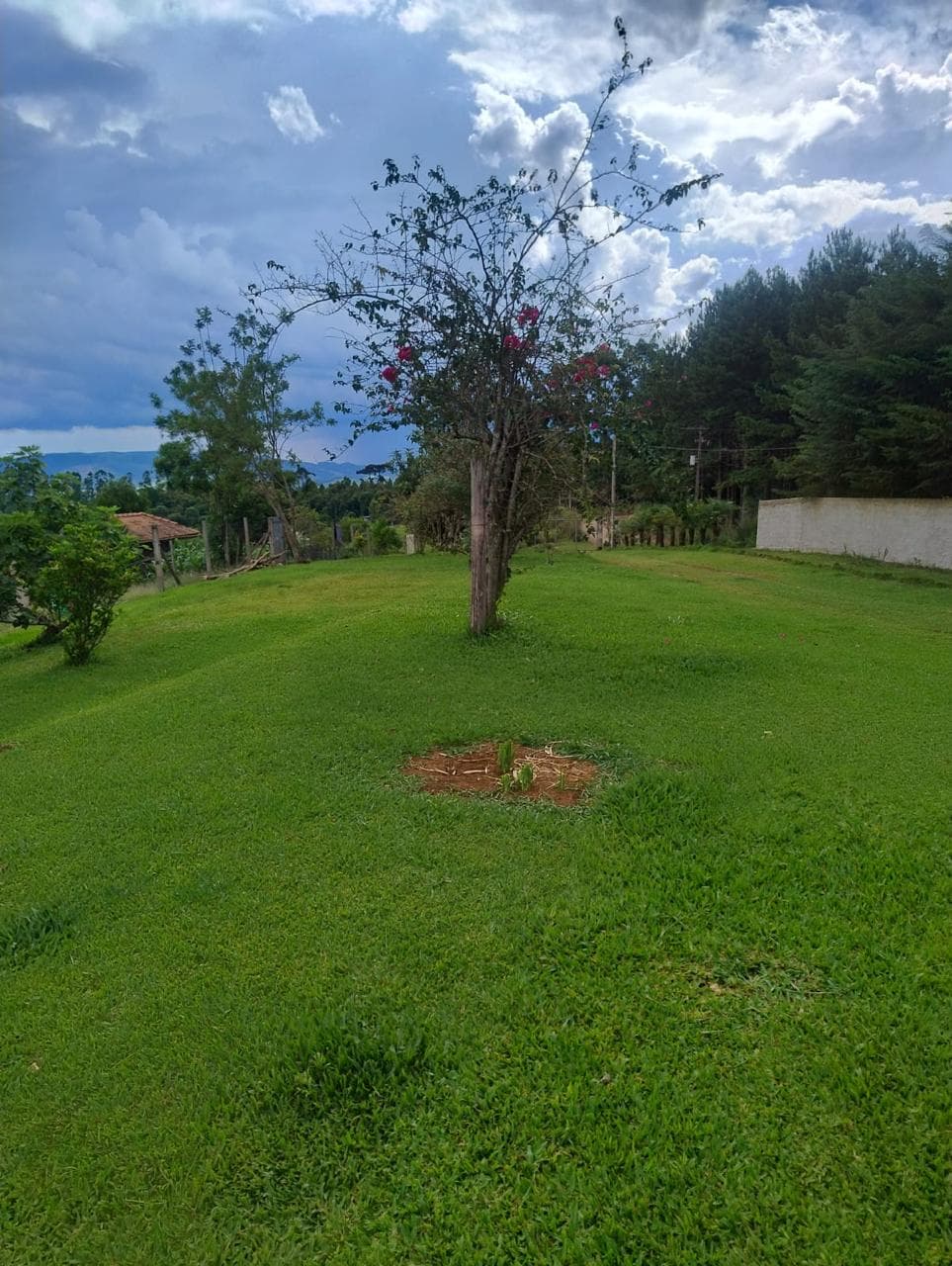 Chácara Campo Largo 5