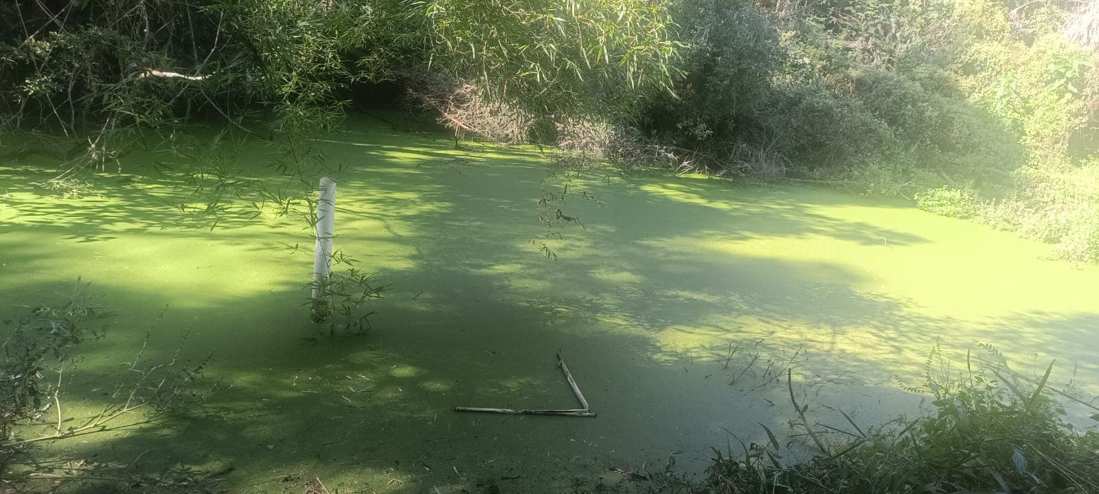 Chácara Pinheiral de Baixo 1