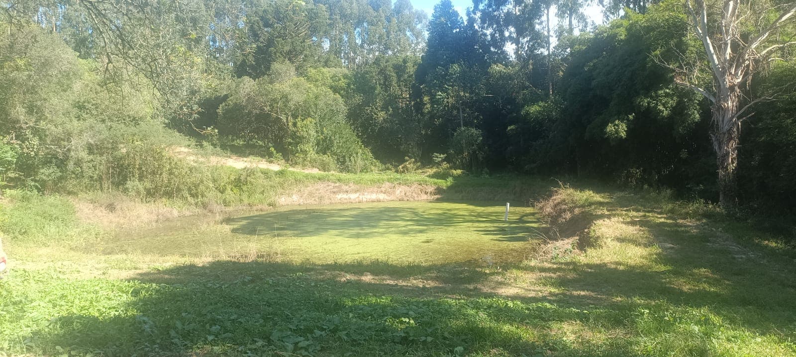 Chácara Pinheiral de Baixo 3