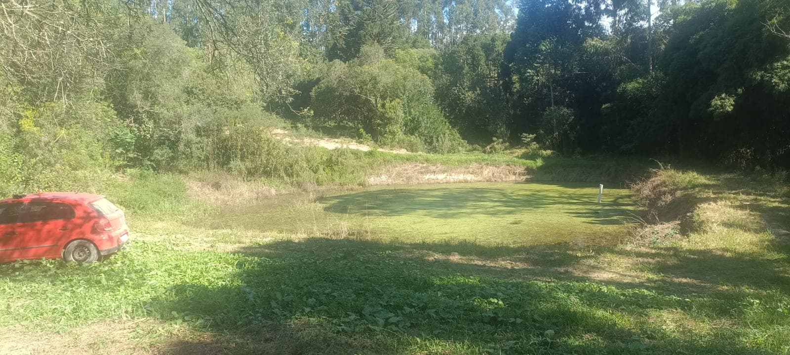 Chácara Pinheiral de Baixo 4