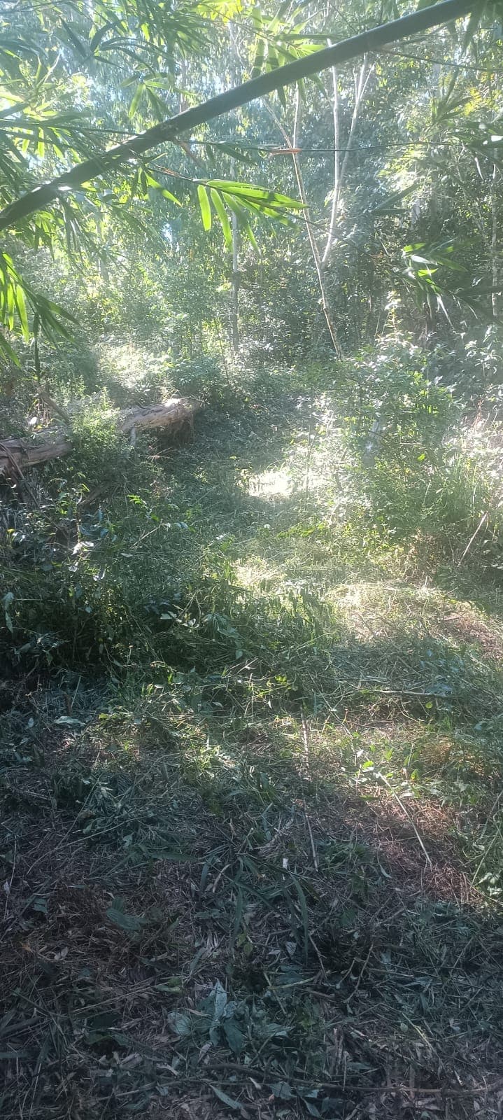 Chácara Pinheiral de Baixo 6