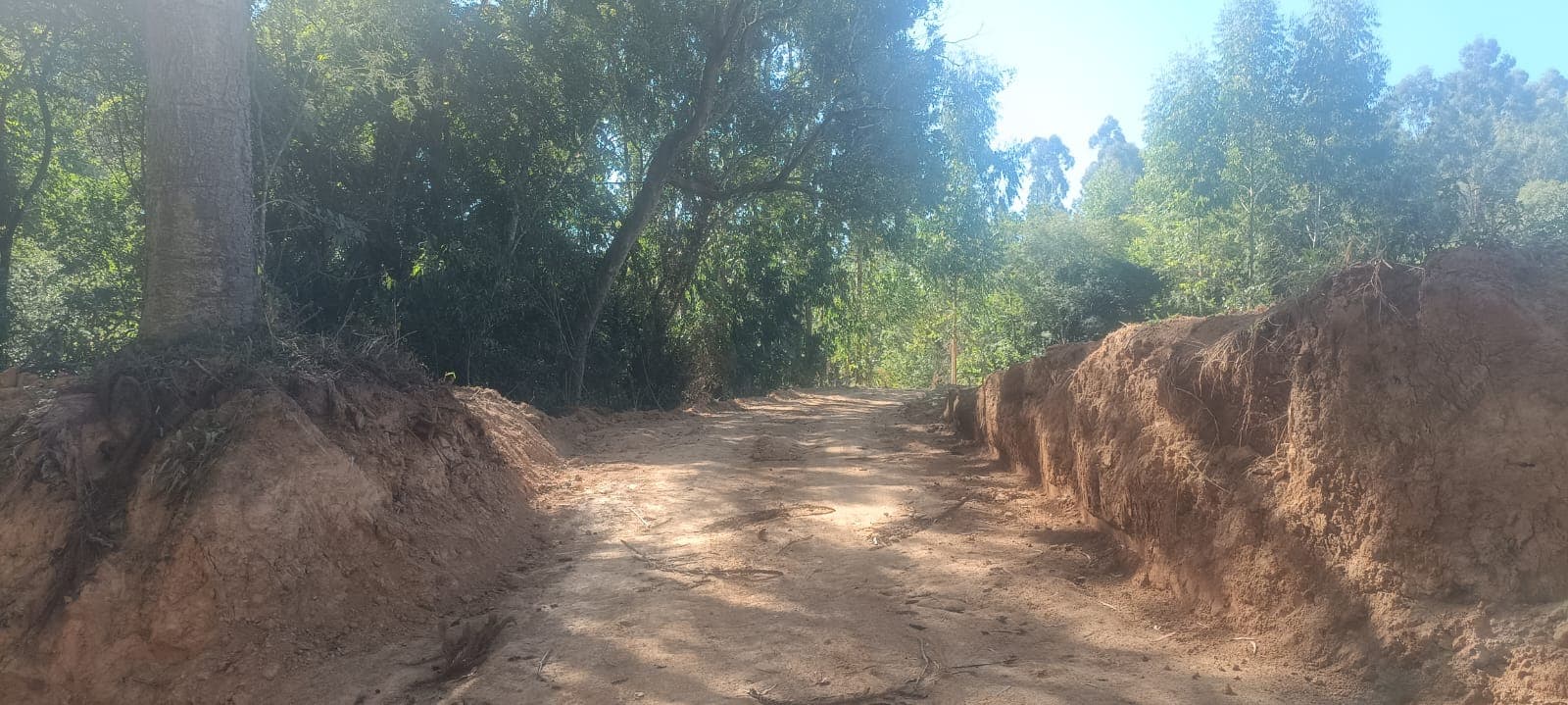 Chácara Pinheiral de Baixo 15