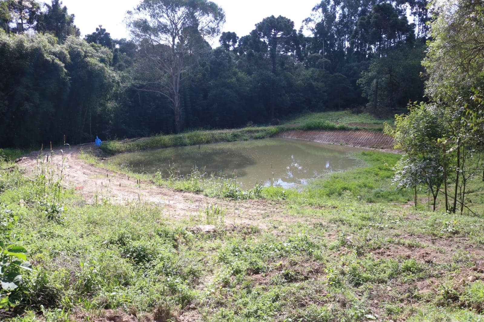 Chácara Pinheiral de Baixo 1