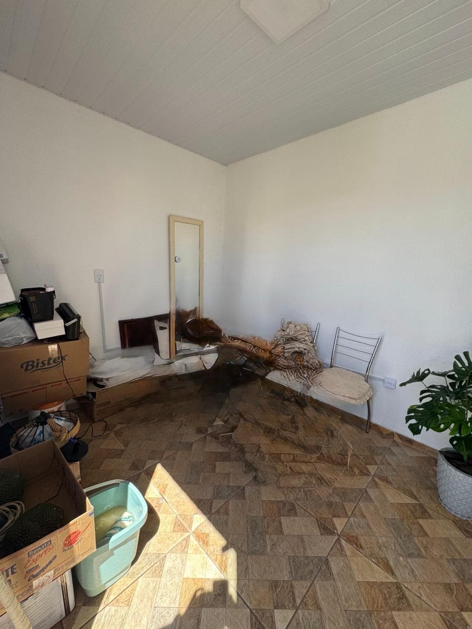 Casa 11