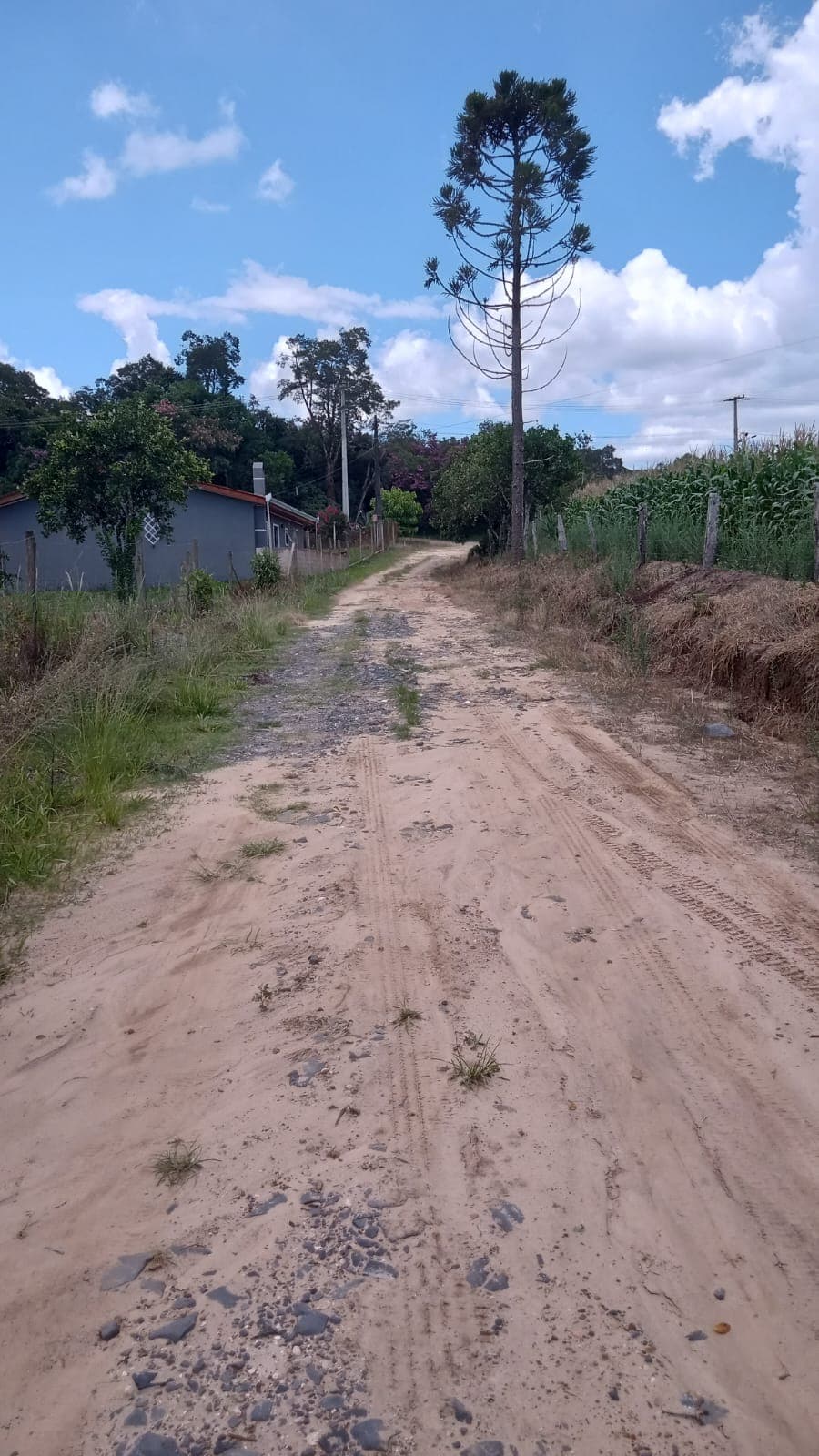 Terreno Rural 2