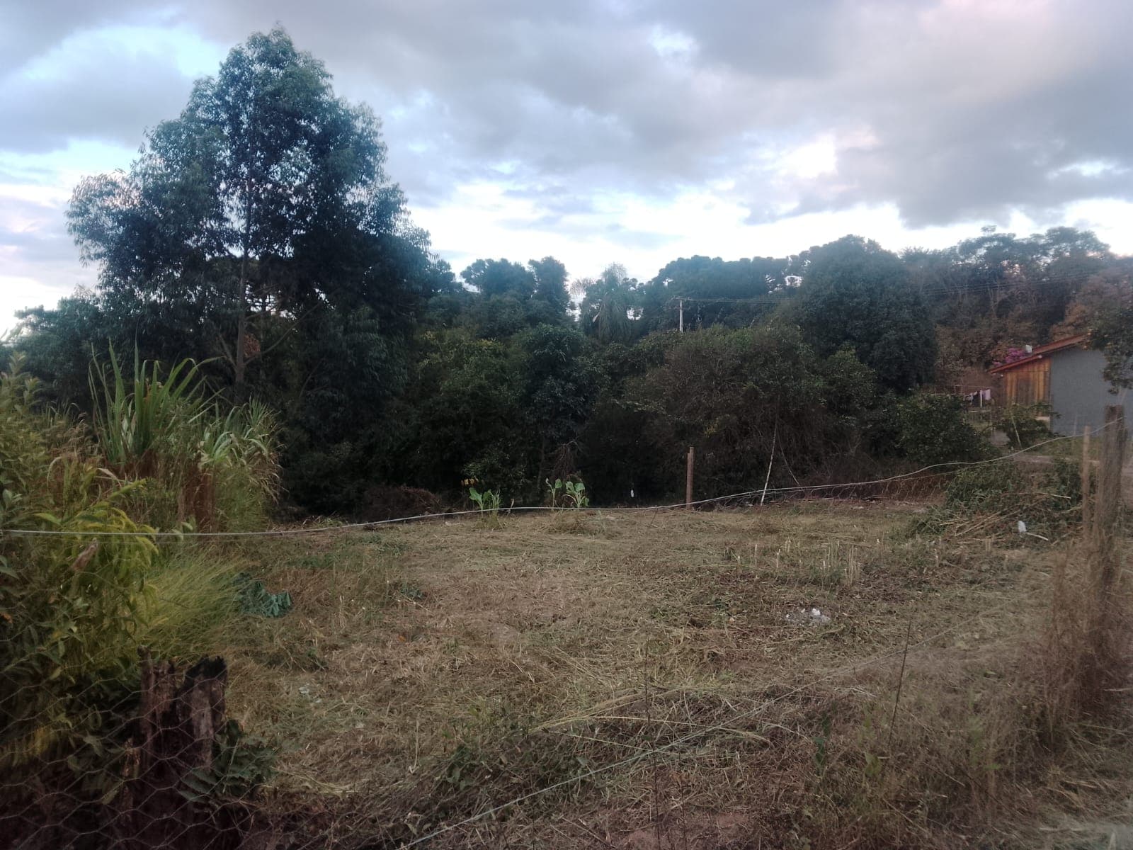 Terreno Rural 3
