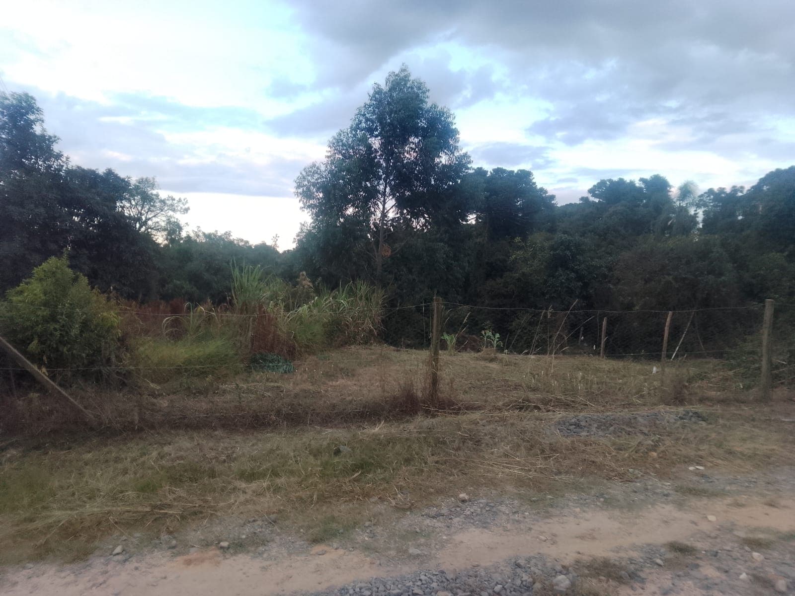 Terreno Rural 1