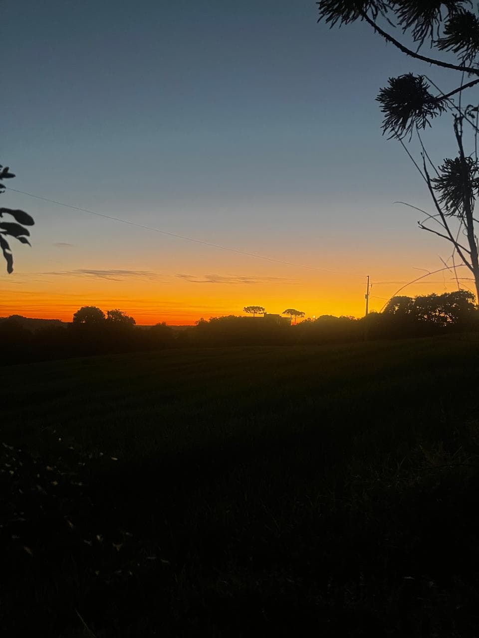 Terreno Rural 12