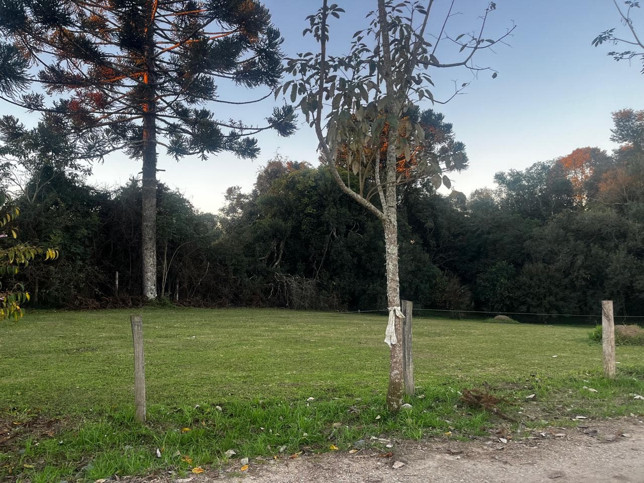 Terreno Rural 6